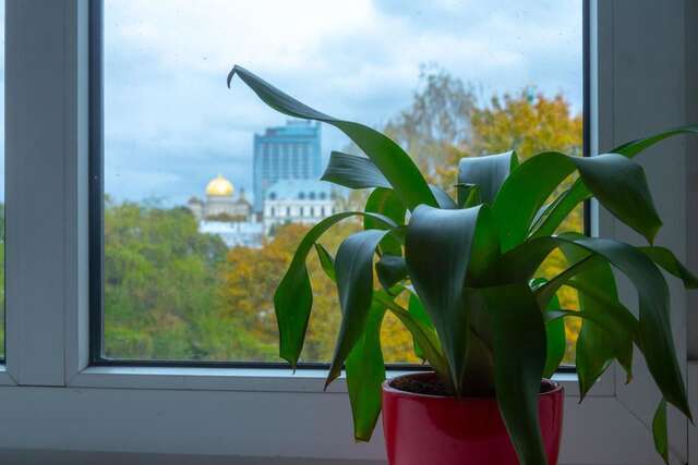 Хостелы Liberty Airy Рига-44
